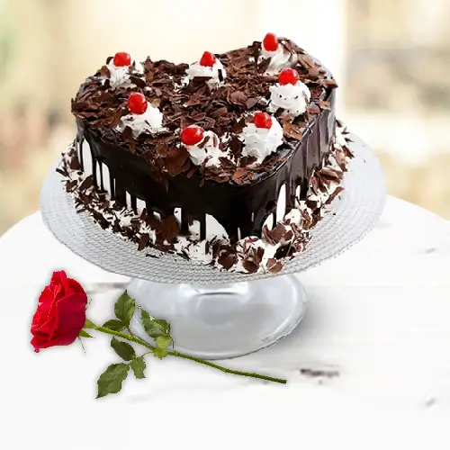 Marvelous Red Rose Bouquet with Black Forest Cake N Teddy to Varanasi, India